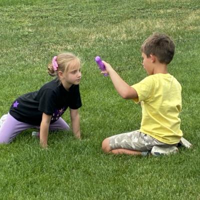 Img 0246